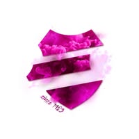 Fanfaren Corps - Laatzen -  